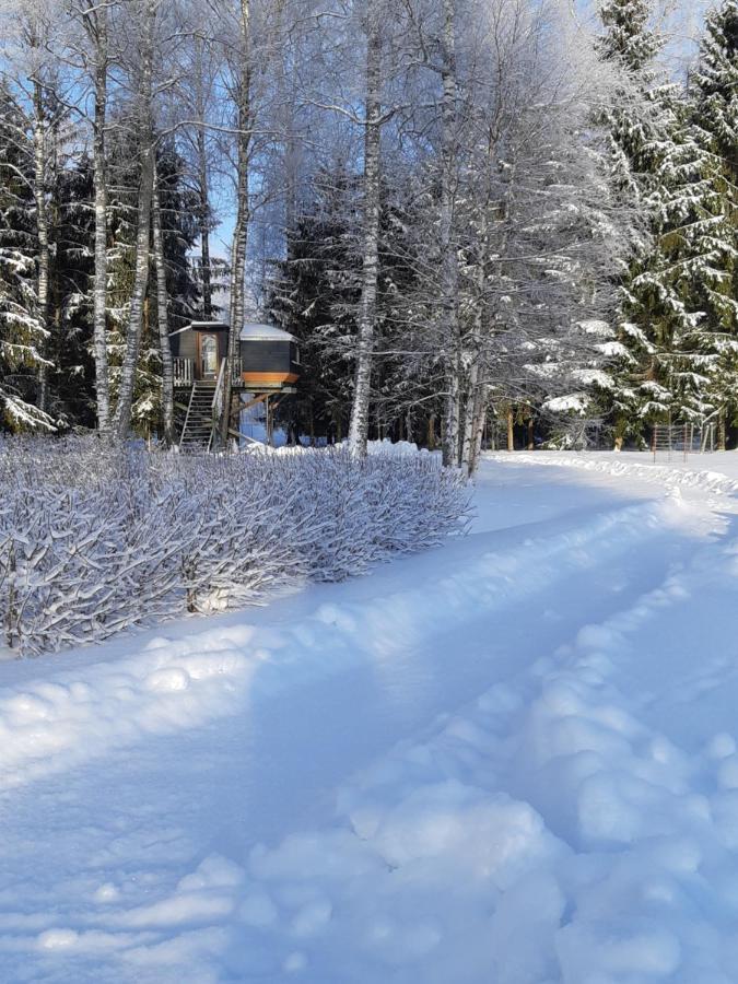 Spa Glamping Kirikumoisa Eksteriør bilde