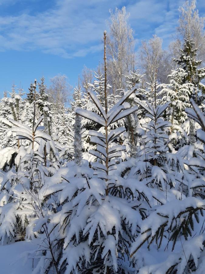 Spa Glamping Kirikumoisa Eksteriør bilde