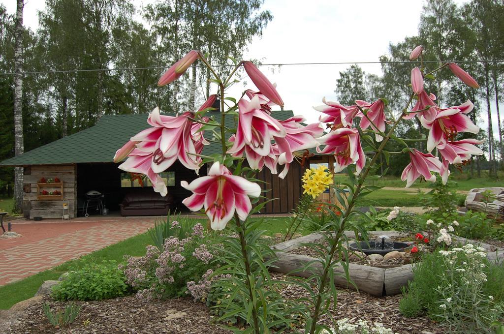 Spa Glamping Kirikumoisa Eksteriør bilde